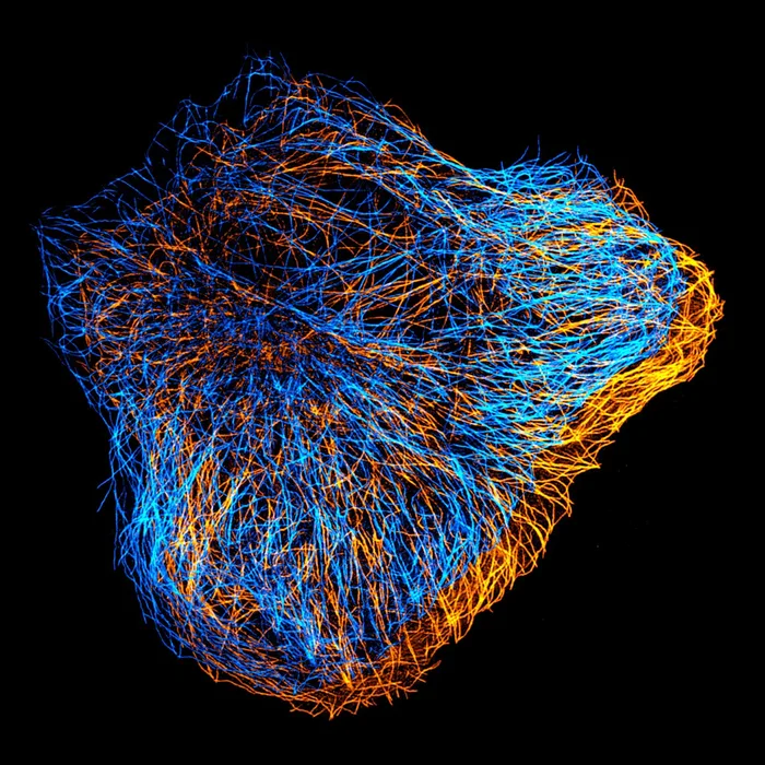 Fast4DReg – fast registration of 4D microscopy datasets