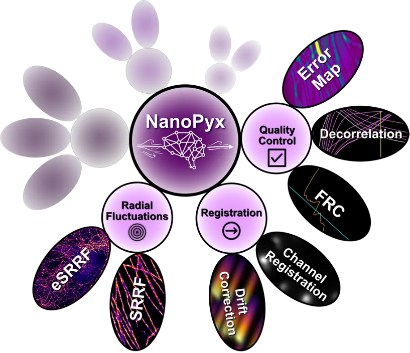 NanoPyx logo
