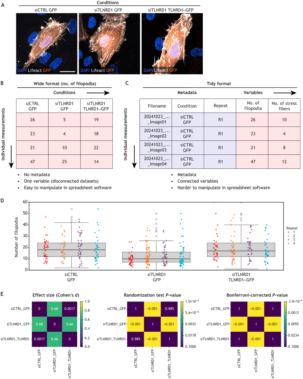 Practical considerations for data exploration in quantitative cell&nbsp;biology